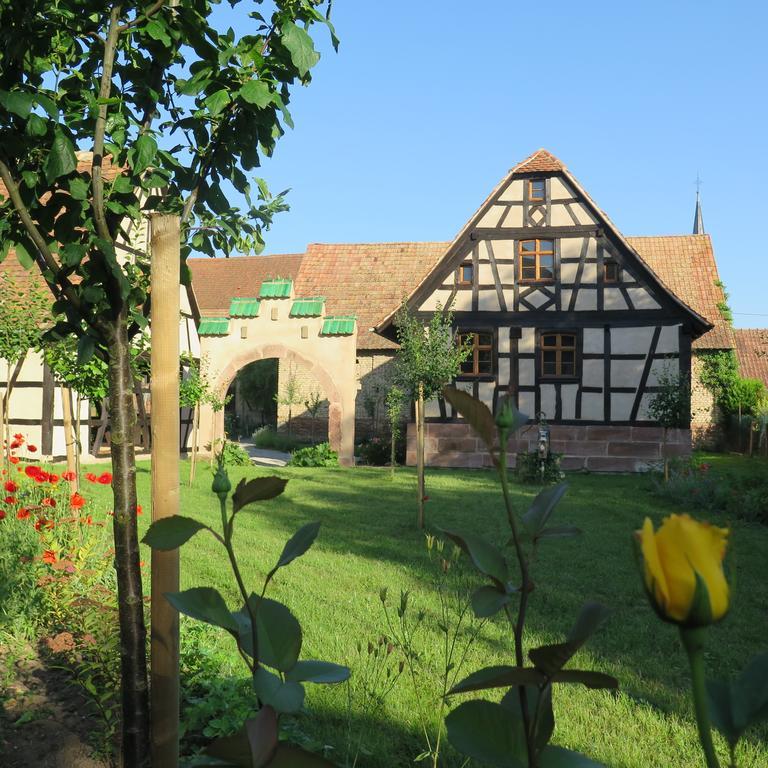 Gite D'Audrey Et Jean Uttenheim Екстер'єр фото