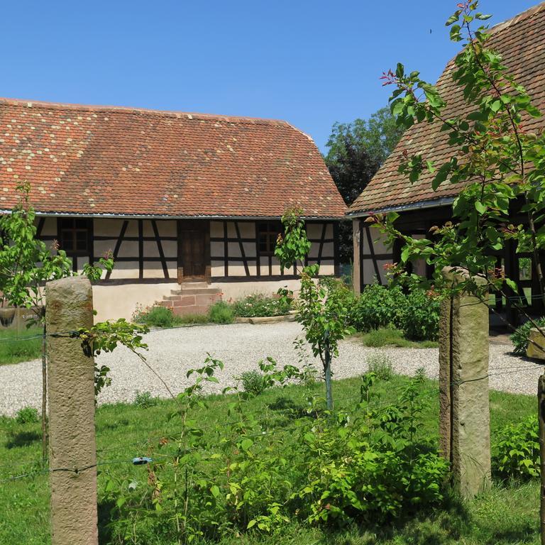 Gite D'Audrey Et Jean Uttenheim Екстер'єр фото